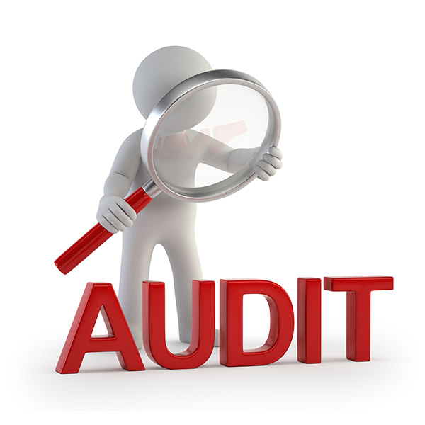 Auditing Services